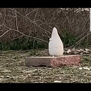 Meet your Posher, Zac